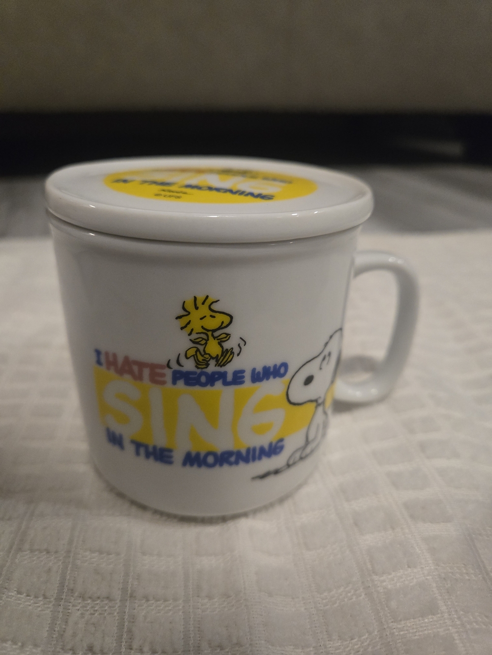 Peanuts White Ceramic Mug with Lid - 'I Hate People Who Sing' Design